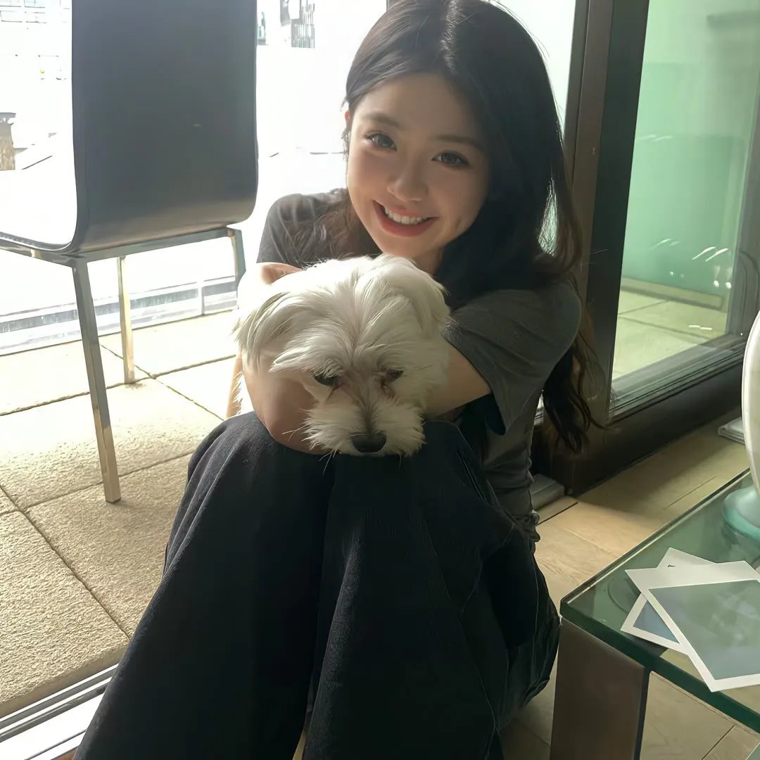 中国诗词大会第六季